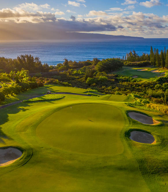 Home - The Ritz-Carlton Maui Strong